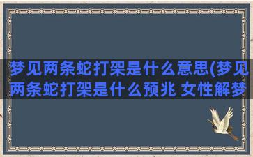 梦见两条蛇打架是什么意思(梦见两条蛇打架是什么预兆 女性解梦)